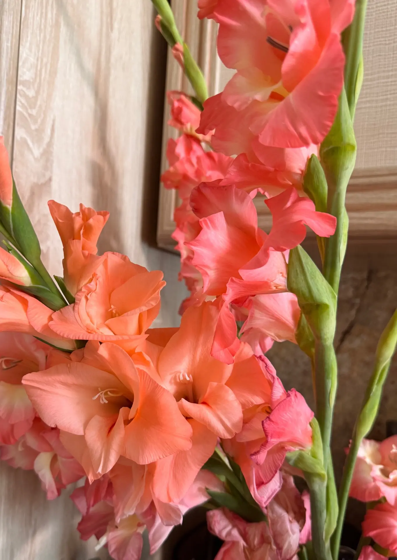 🌸 Всем привет!

Сегодня так неудачно съездили на почту,  которая находится далеко от дома: попали в