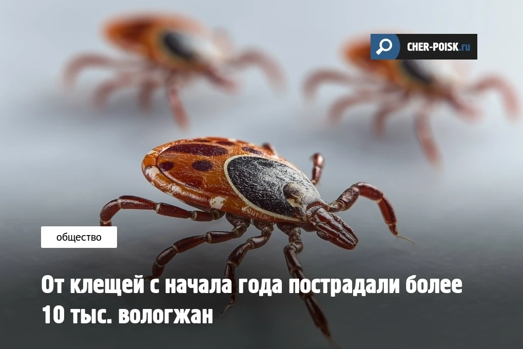 В Роспотребнадзоре по Вологодской области рассказали, что с начала 2026 года в регионе зарегистриров