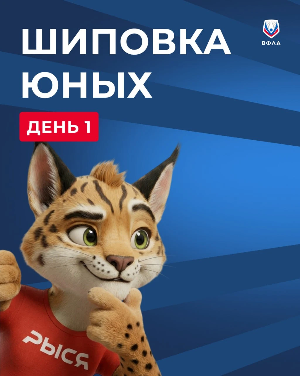 ⚡️Сочи, мы стартуем!