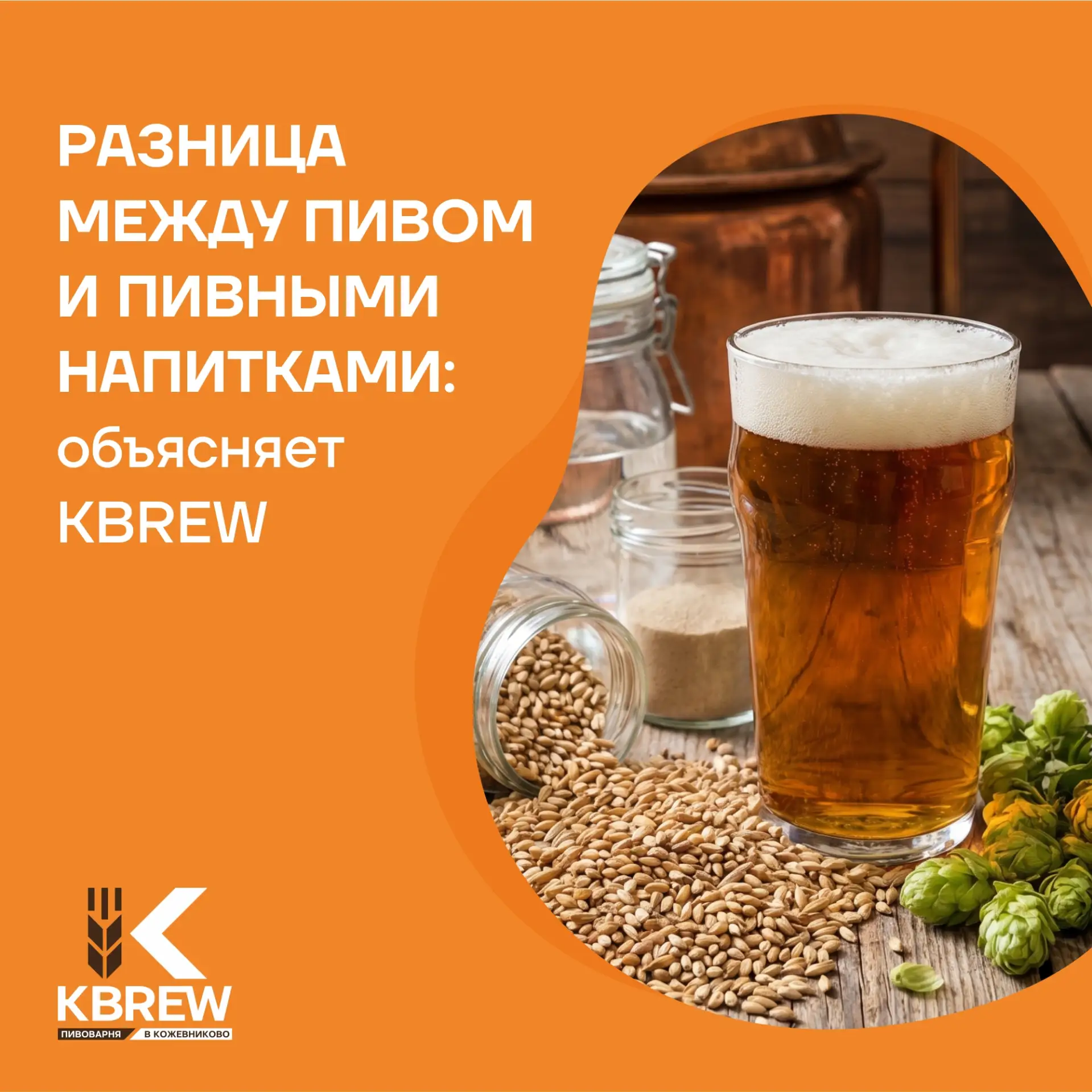 Друзья, разберемся, чем же отличается пиво от пивных напитков!?🍺

Листайте карусель, читайте интере