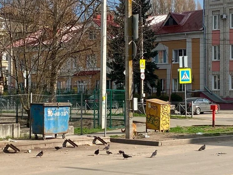Министерство природы Липецкой области объявило о значительных улучшениях в системе обращения с отход