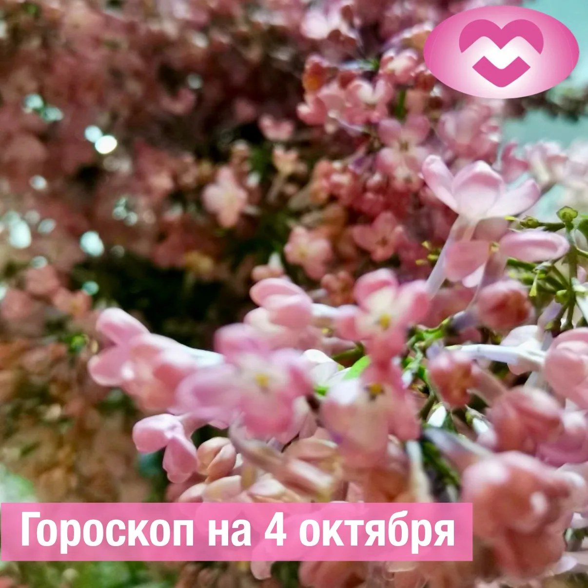 ♈ Овен