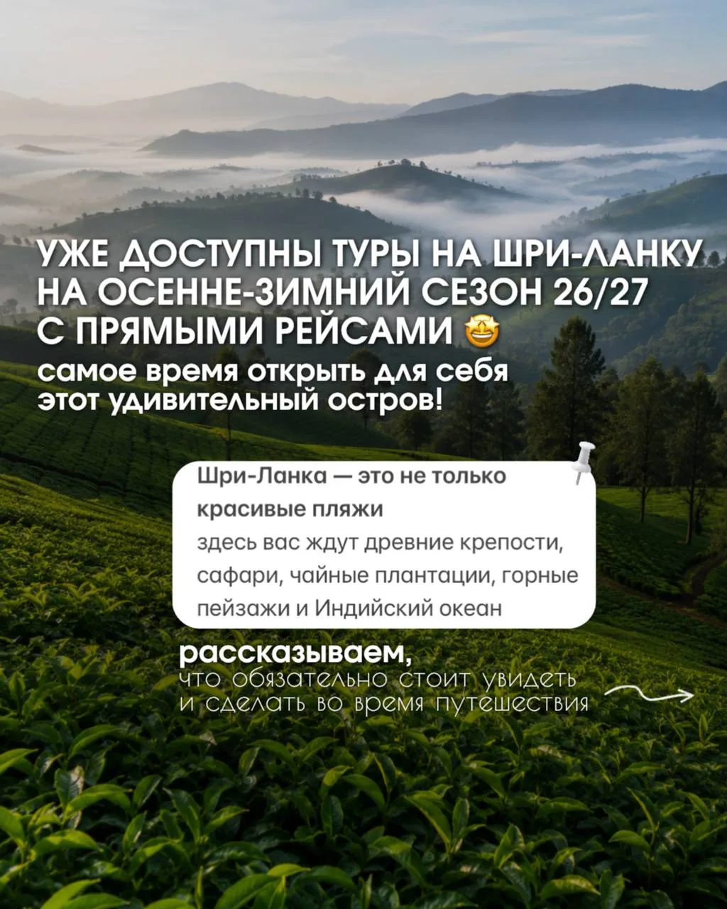 ШРИ—ЛАНКА: ОТ САФАРИ ДО ЧАЙНЫХ ПЛАНТАЦИЙ 😍