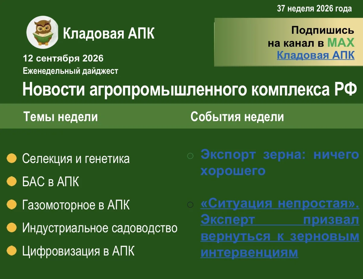 ☀️ Еженедельный дайджест: