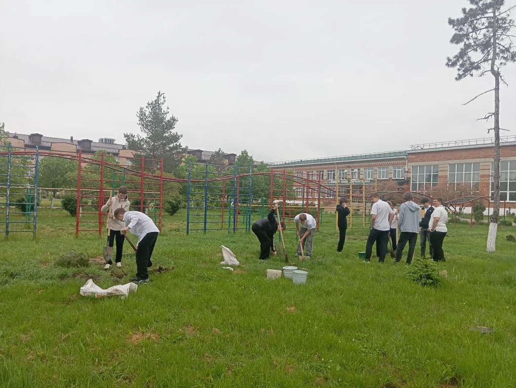 🌳 Продолжая традиции! 🌳  В рамках доброй традиции, выпускники 9"Вл" класса посадили деревья 🌲🌲🌲 на т