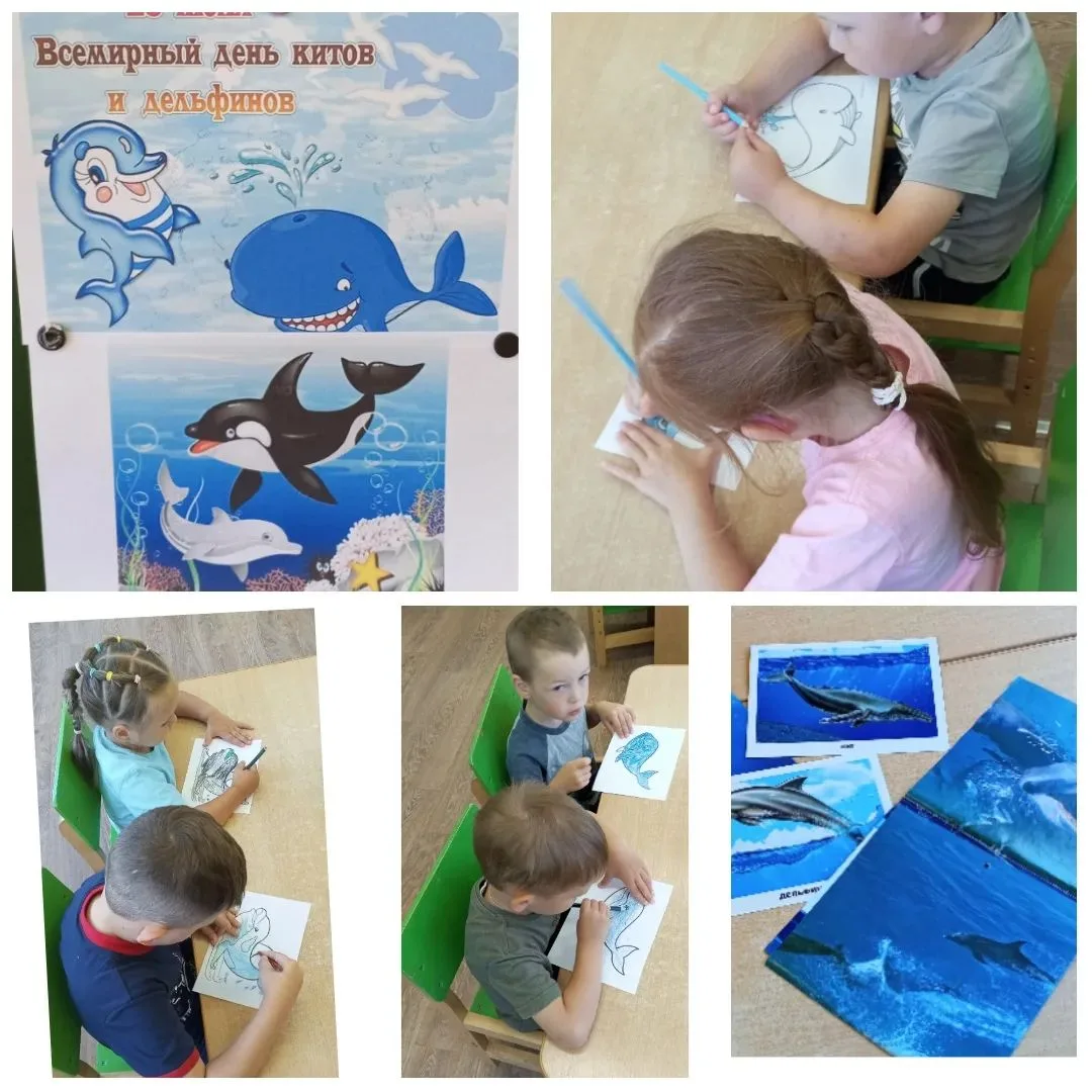 🐋 Всемирный день китов и дельфинов! 🐬

23 июля — особенная дата, посвященная защите удивительных м