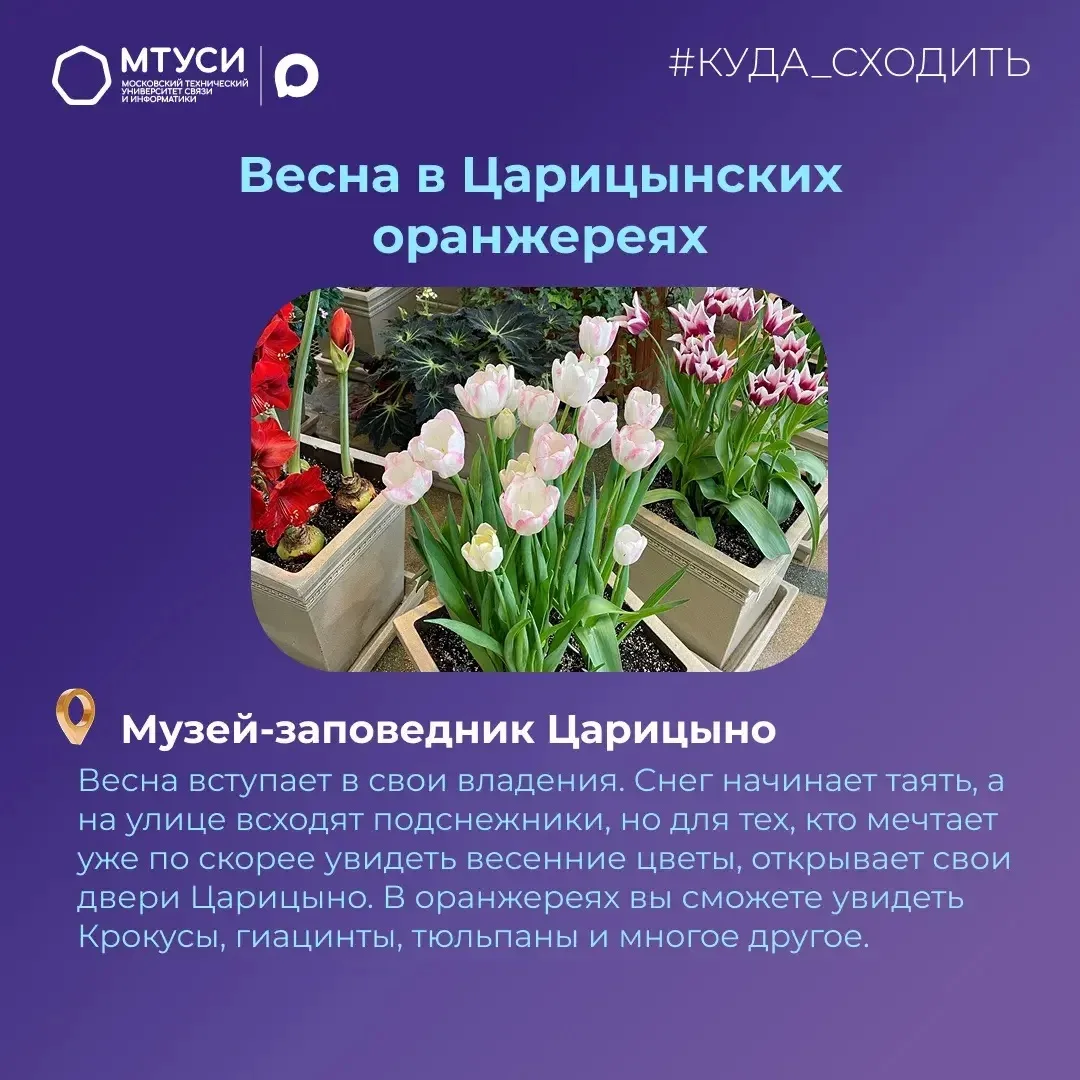 🥳 Ура! Рабочая неделя позади, можно на время забыть о тетрадях и сложных вычислениях! Нас ждут долго