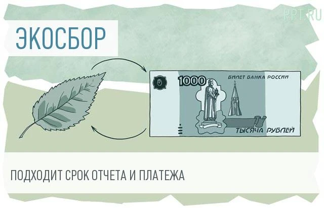 Экосбор за компанию может заплатить кто угодно. Но есть нюанс