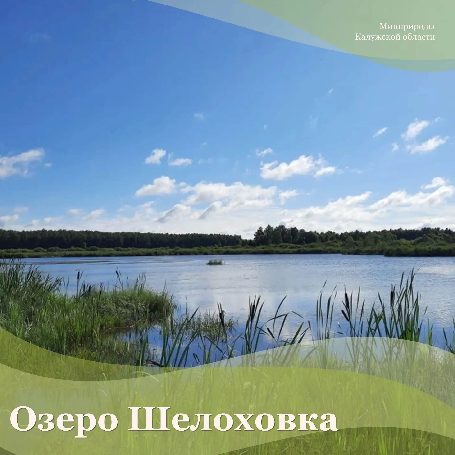 Интересный водоем естественного происхождения есть и в Юхновском муниципальном округе – озеро Шелохо