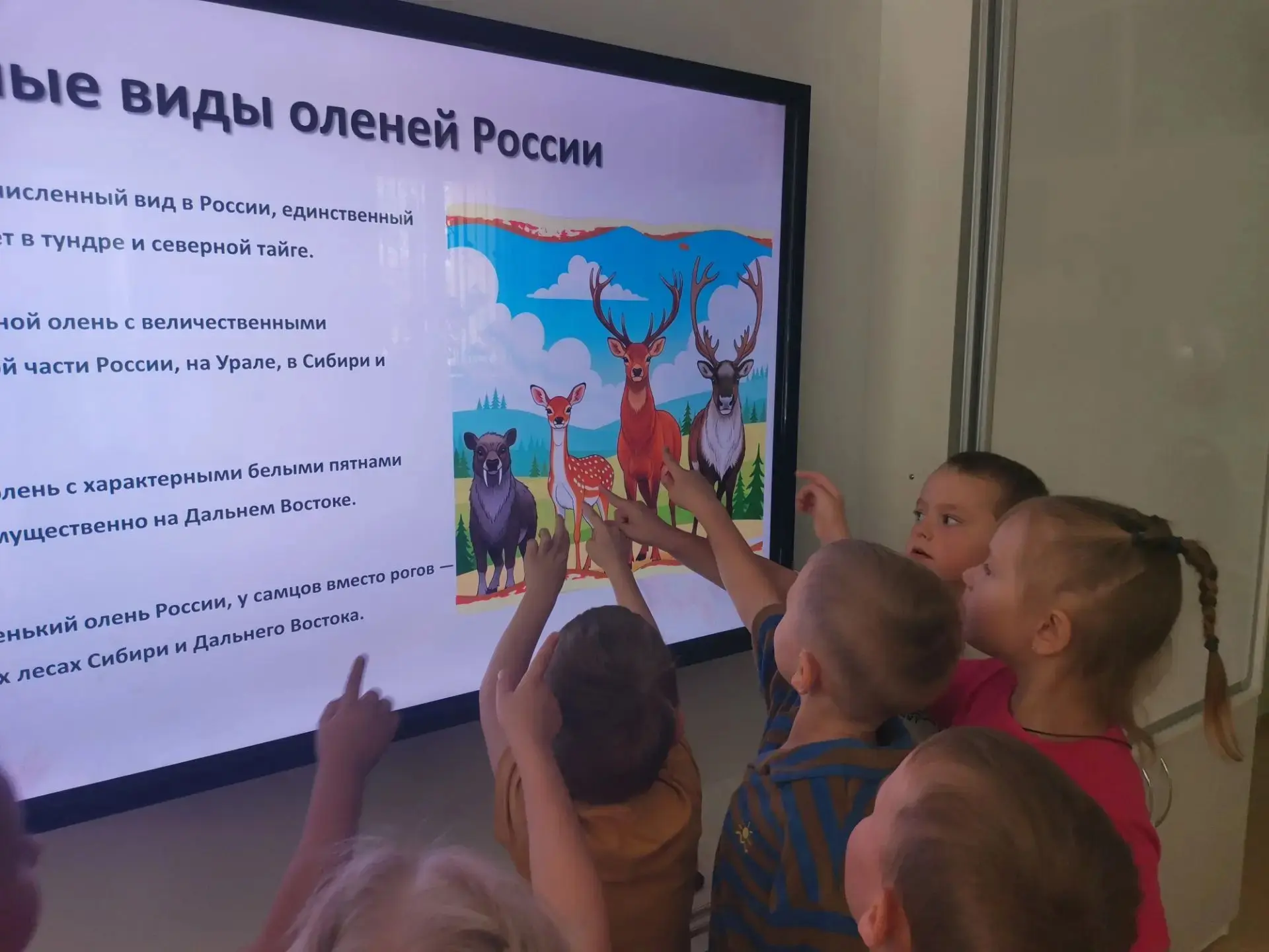 Воспитанники группы "Солнышко" погрузились в мир животных. Ребята интересно и весело от...
