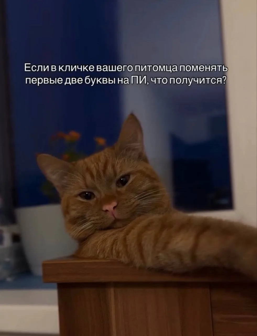 вопрос тем кто не спит