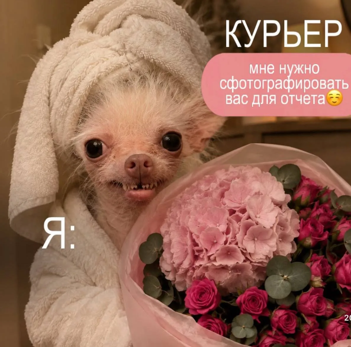 Ну мы