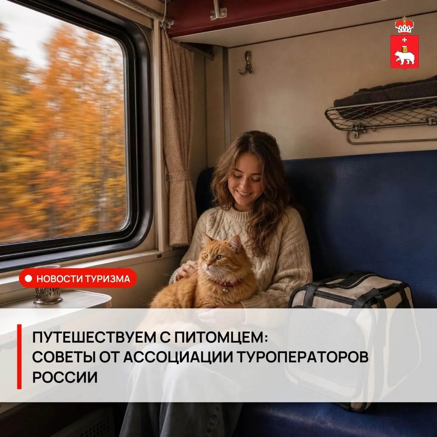 🐾 Как путешествовать по России с питомцем?