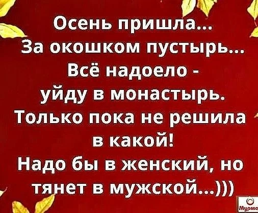 #юмор