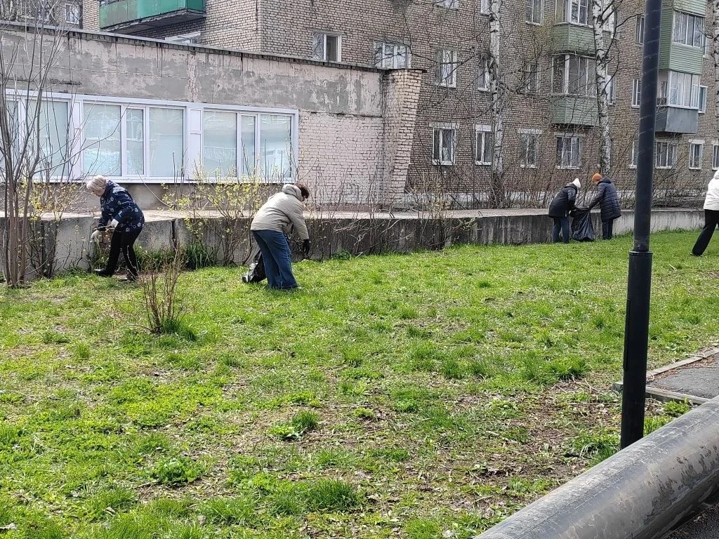 💥 Педагогический коллектив МБОУ СОШ №15 принял активное участие во Всероссийском суббо...