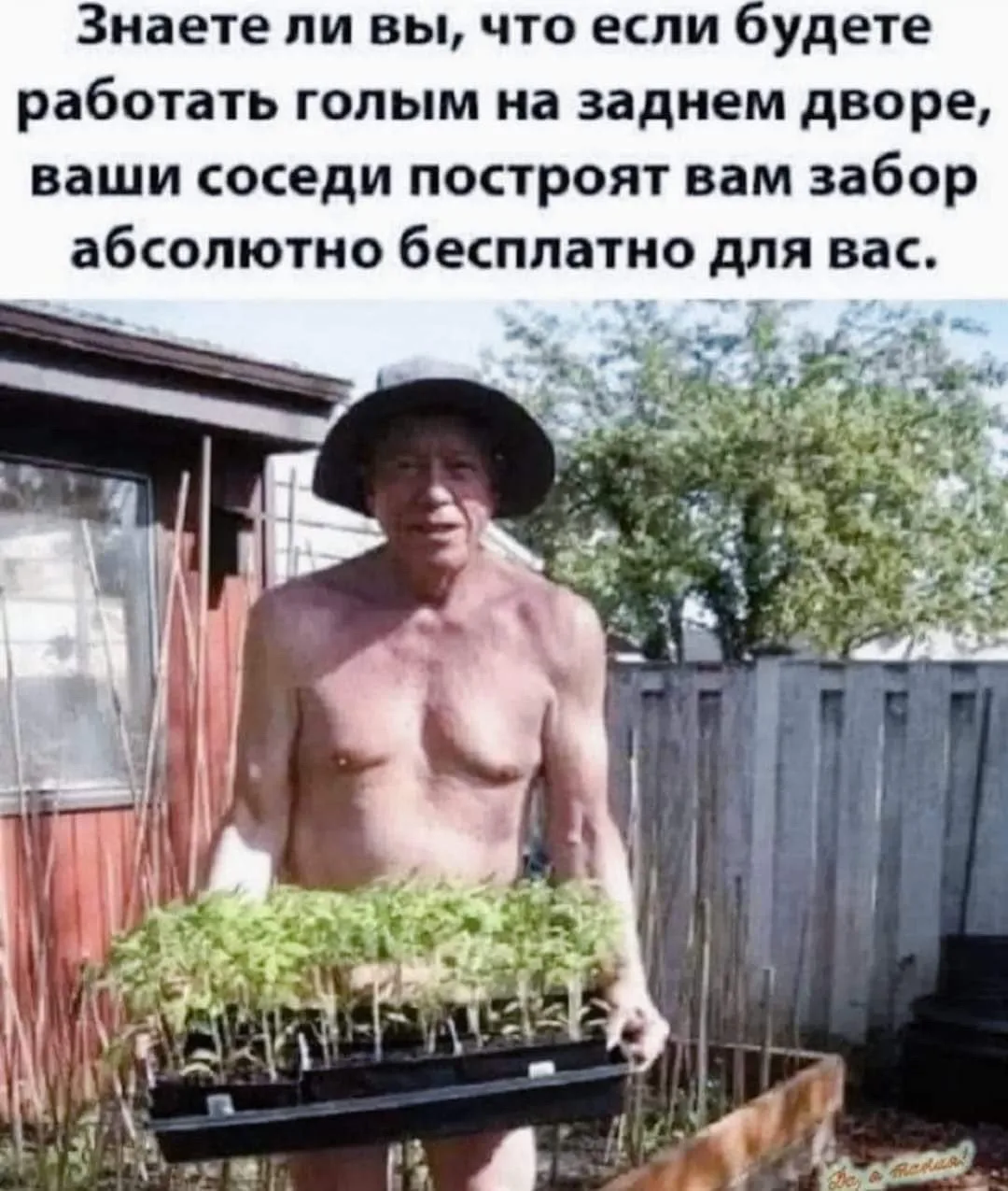 🤣🤣🤣🤣🤣