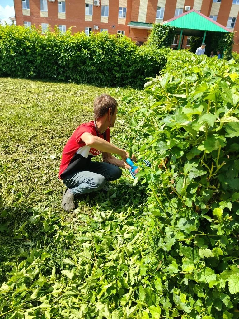 🧹 «День трудяги» — 22 июля!

☀Сегодня каждый нашёл дело по душе!

- 🌿 Кто-то косил траву.
- 🧽 Кто