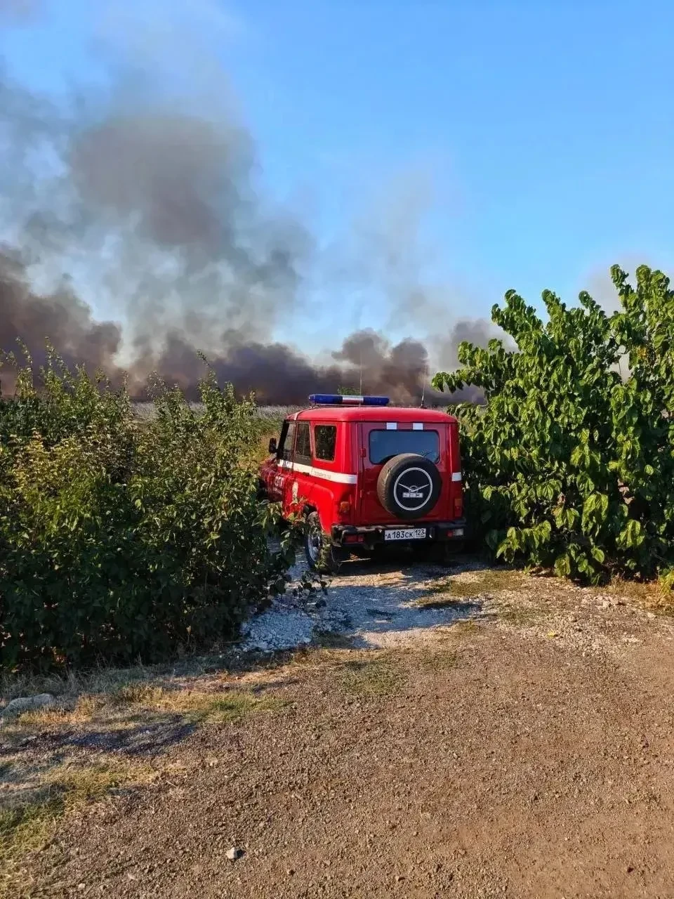 🔥В Анапе продолжается тушение пожара в плавнях