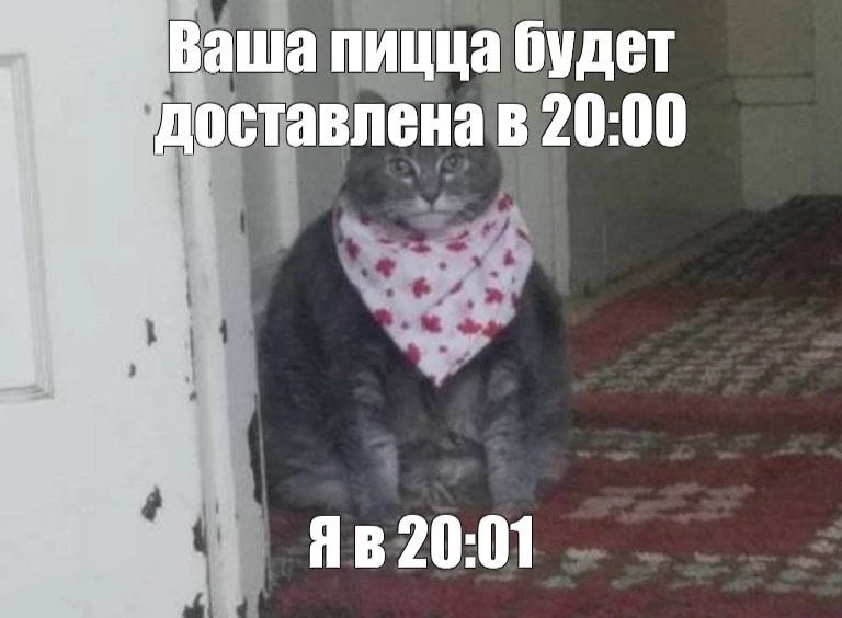Россияне обленились и больше не хотят готовить: спрос на готовую еду в стране вырастет на 30% в ближ