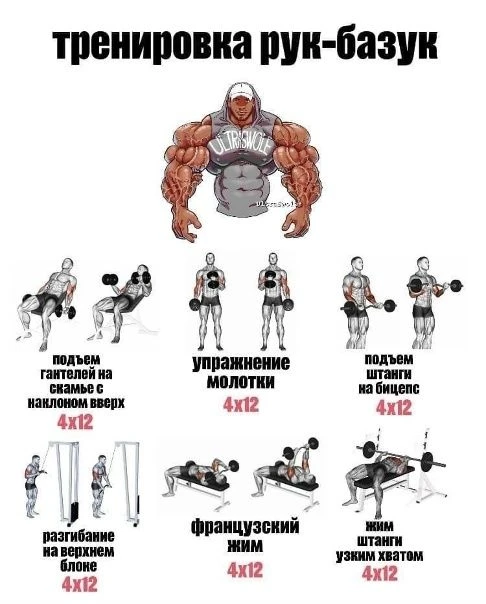 Подпишись на программы 
тренировок💪