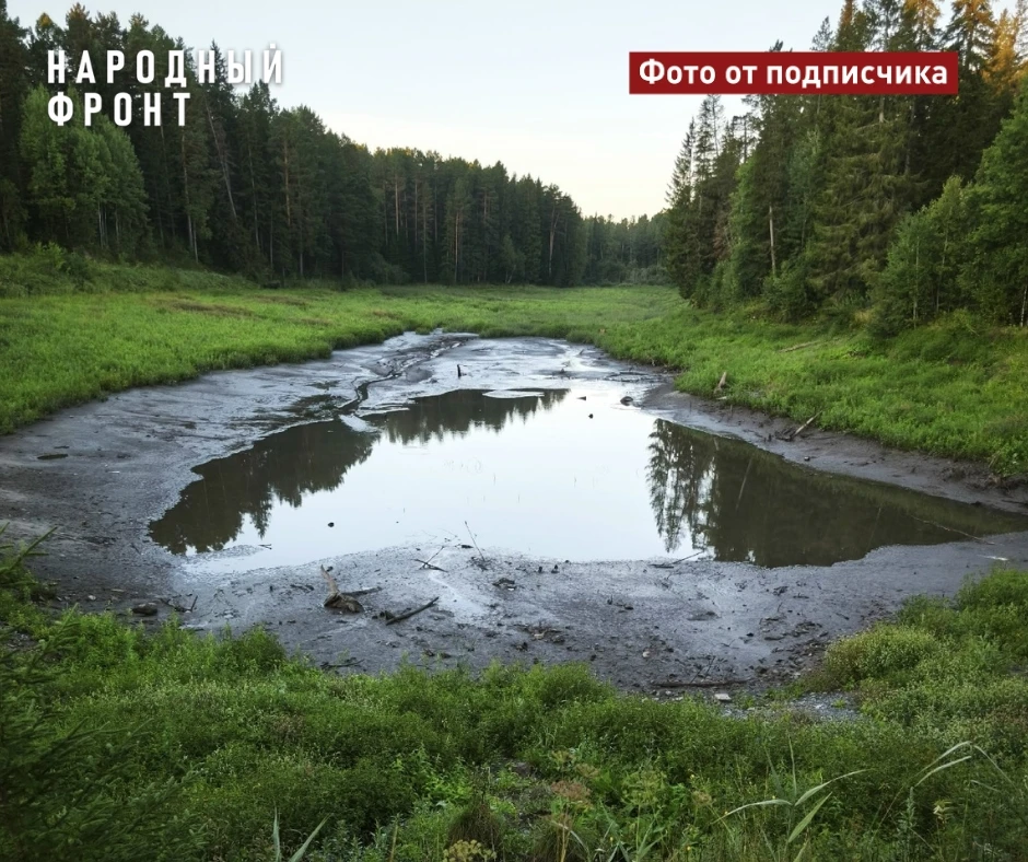 Живописное озеро в Мирном превратилось в мелкую лужу