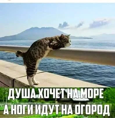 😂 #юмор