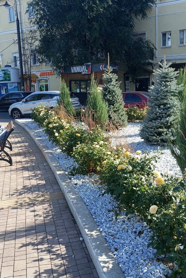 Самарцы восхищаются новыми клумбами на площади Революции