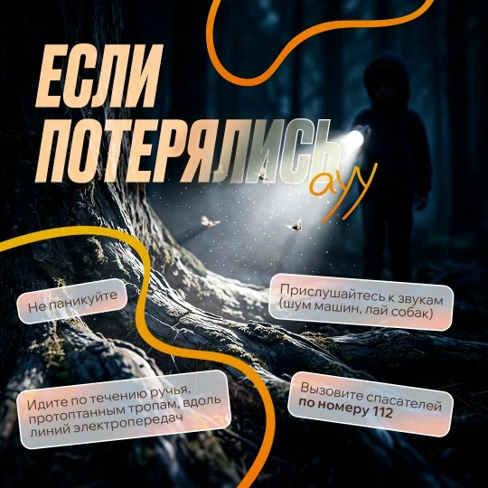 Какое же лето без прогулок, пикников и походов? 🍃

Однако, проводя время на природе, важно помнить 