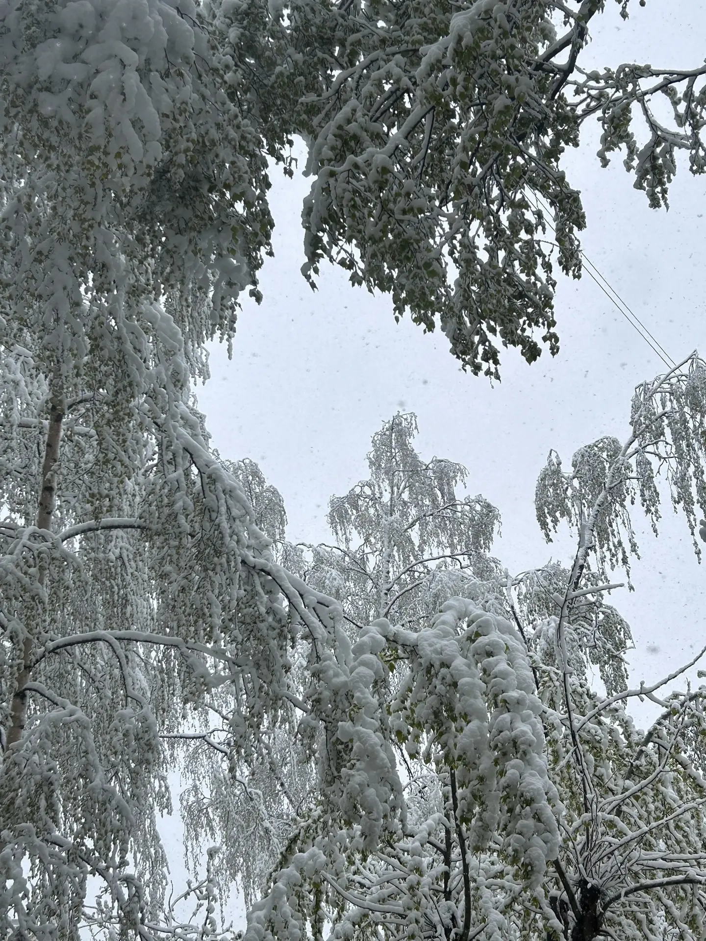 Вот такое у нас доброе утро 27 апреля  🥲🥶