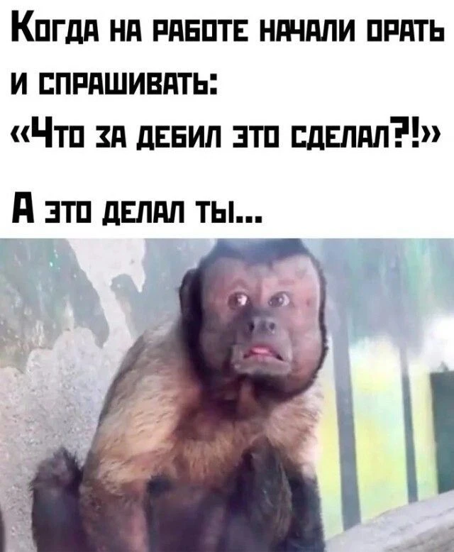 МИР ПОЗИТИВА 🤩 ОТКРЫТКИ!