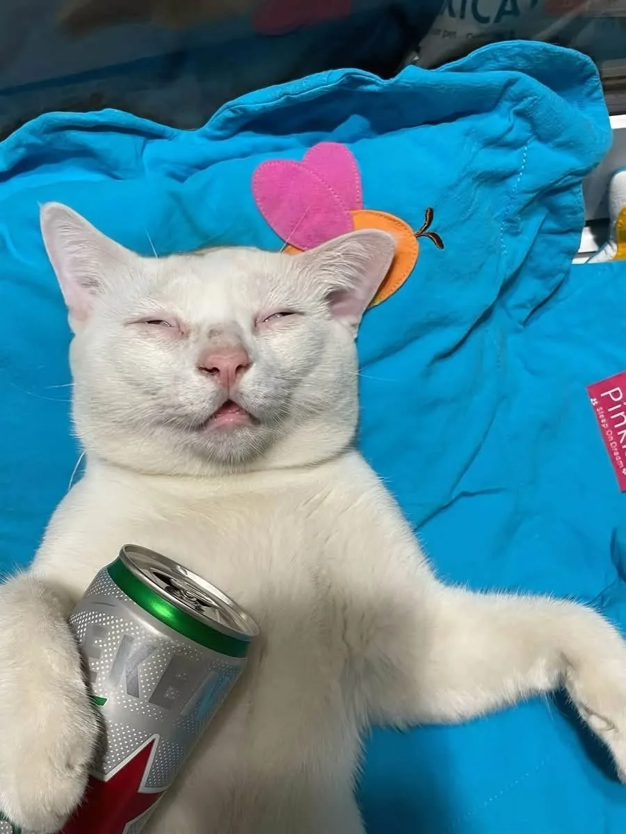 Мои планы на выходные