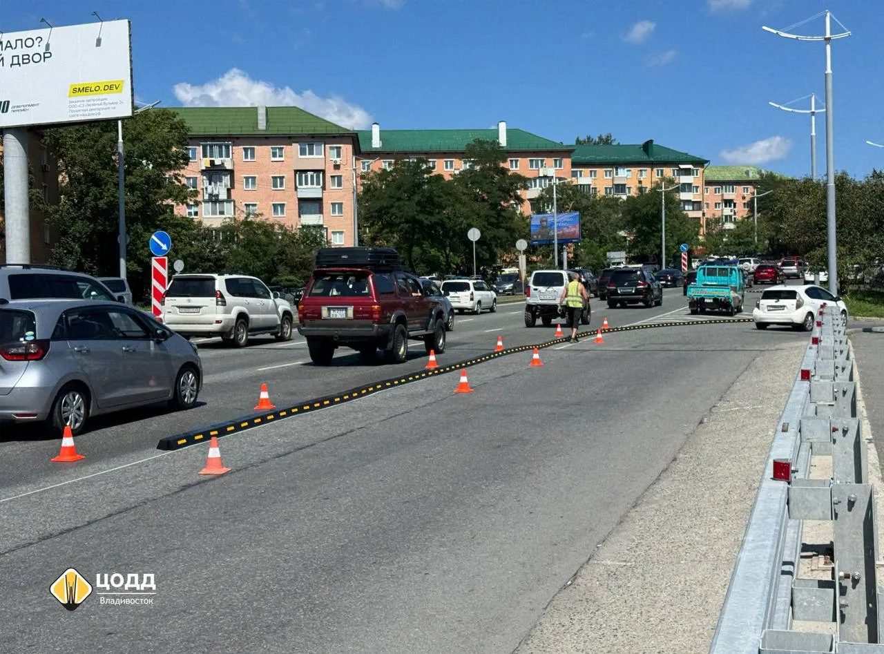 Во Владивостоке приступили к установке делиниаторов на новых участках