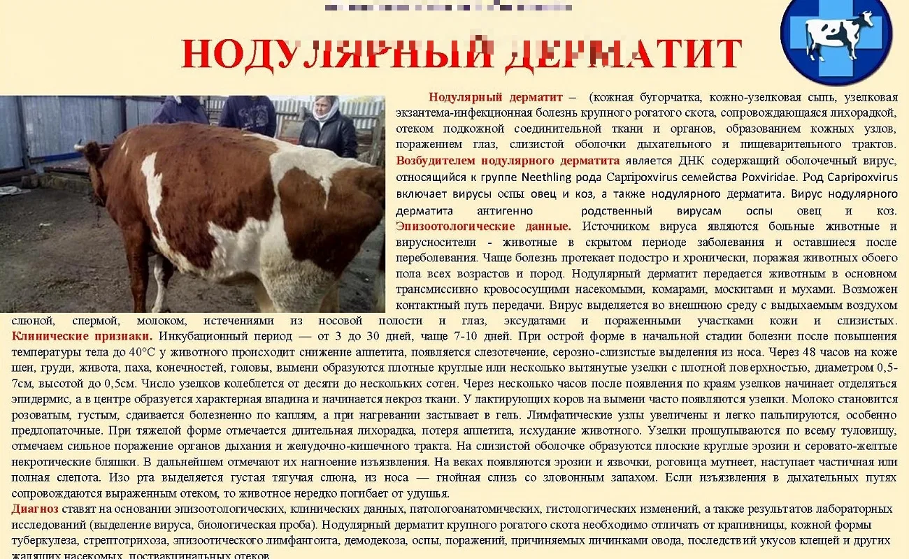 ‼️ПАМЯТКА ДЛЯ НАСЕЛЕНИЯ ‼️