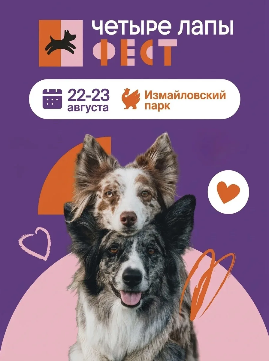 🥺5 причин не пропустить «Четыре Лапы Фест»