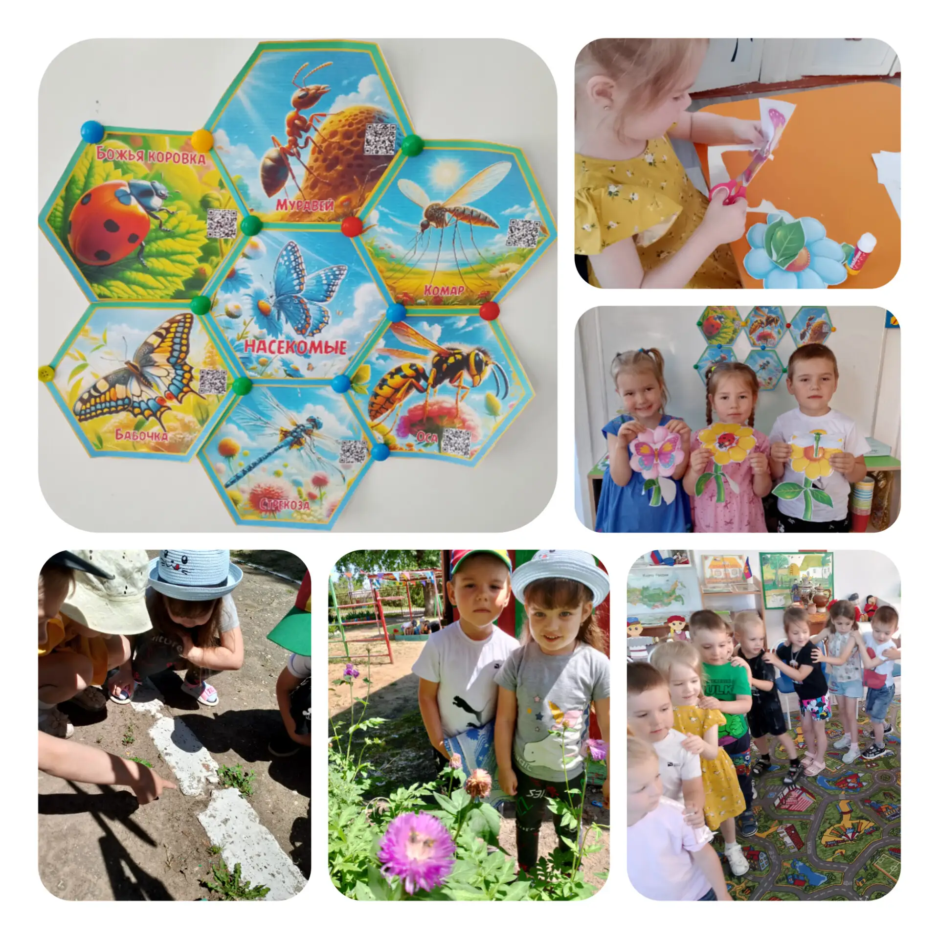 🐞🌼 Сегодня в группе "Хуторок"  мы поговорили о насекомых! 🦋🐜 Ребята узнали, какие насекомые живу