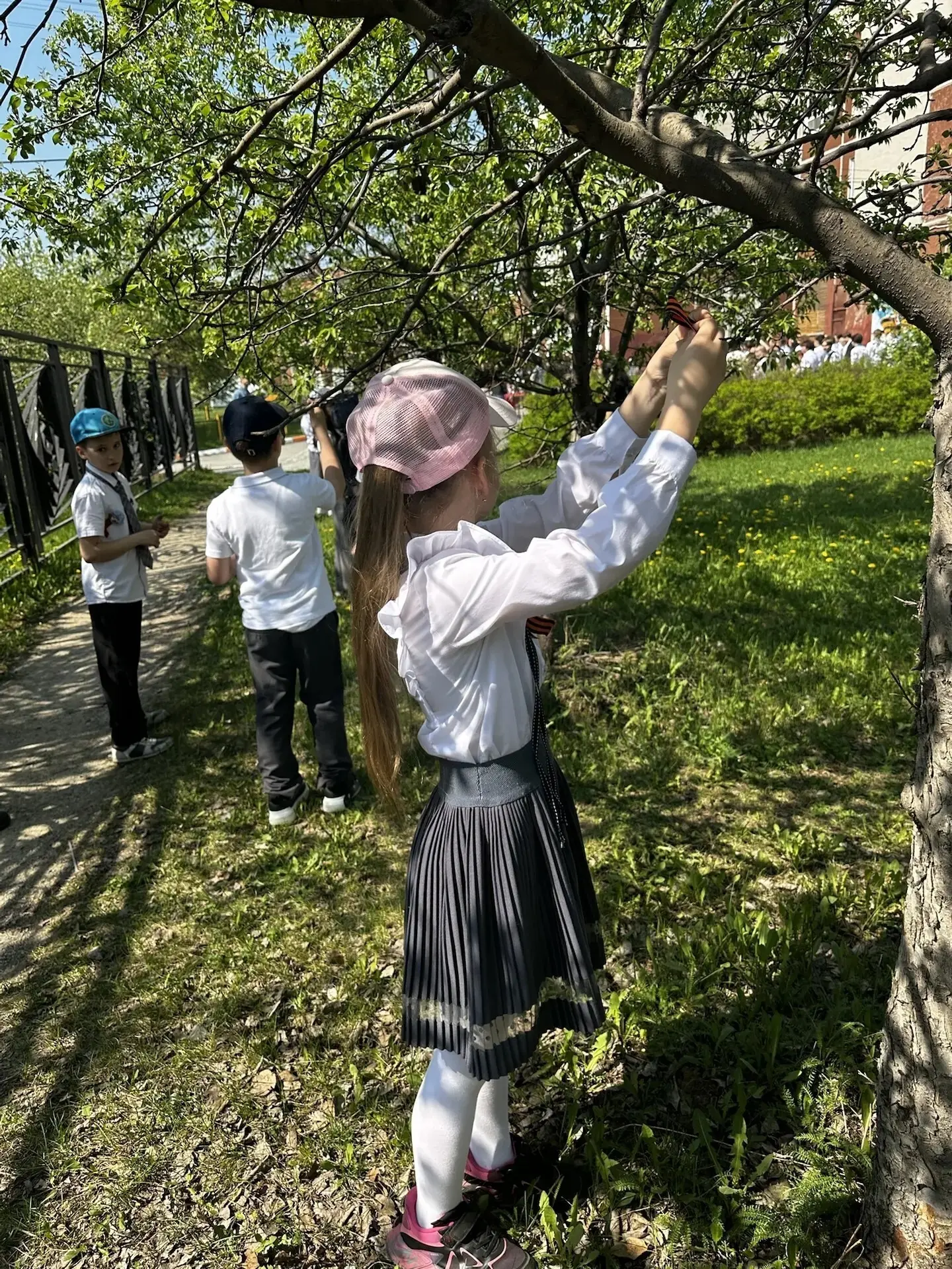 🌳  Георгиевская ленточка на Яблоневой аллее  ✅Каждый год в канун Дня Великой Победы Яблоневая аллея 