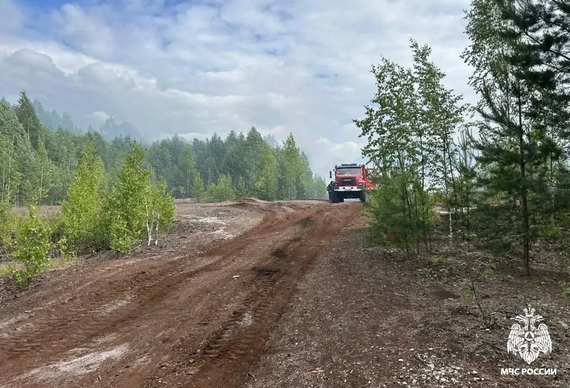 В Костроме и Нерехте выявлены пироманы