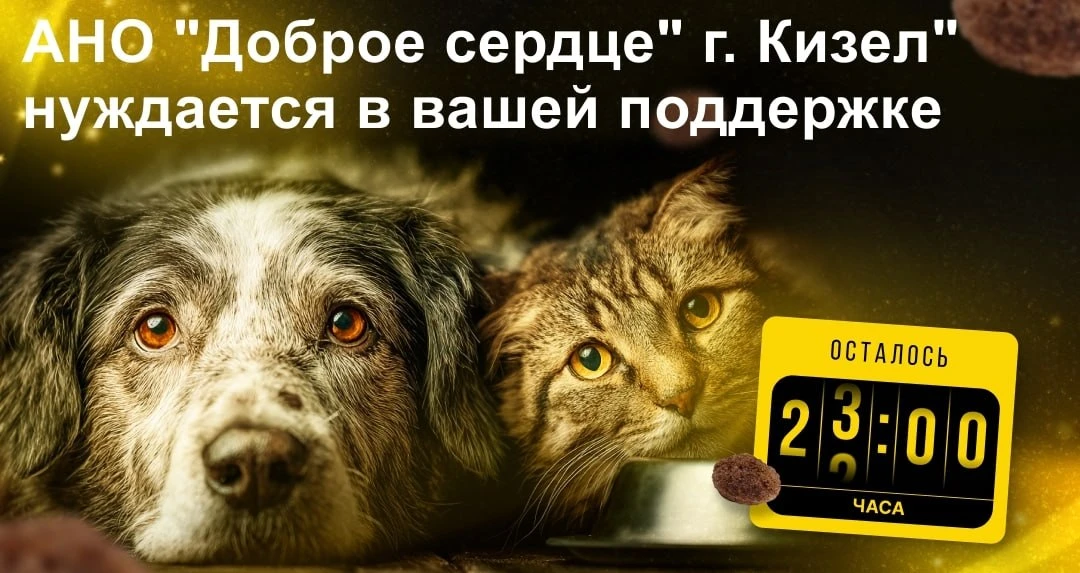 Через 7 часов заканчивается «корзина помощи приютам» для АНО "Доброе сердце" г. Кизел. Автономная не