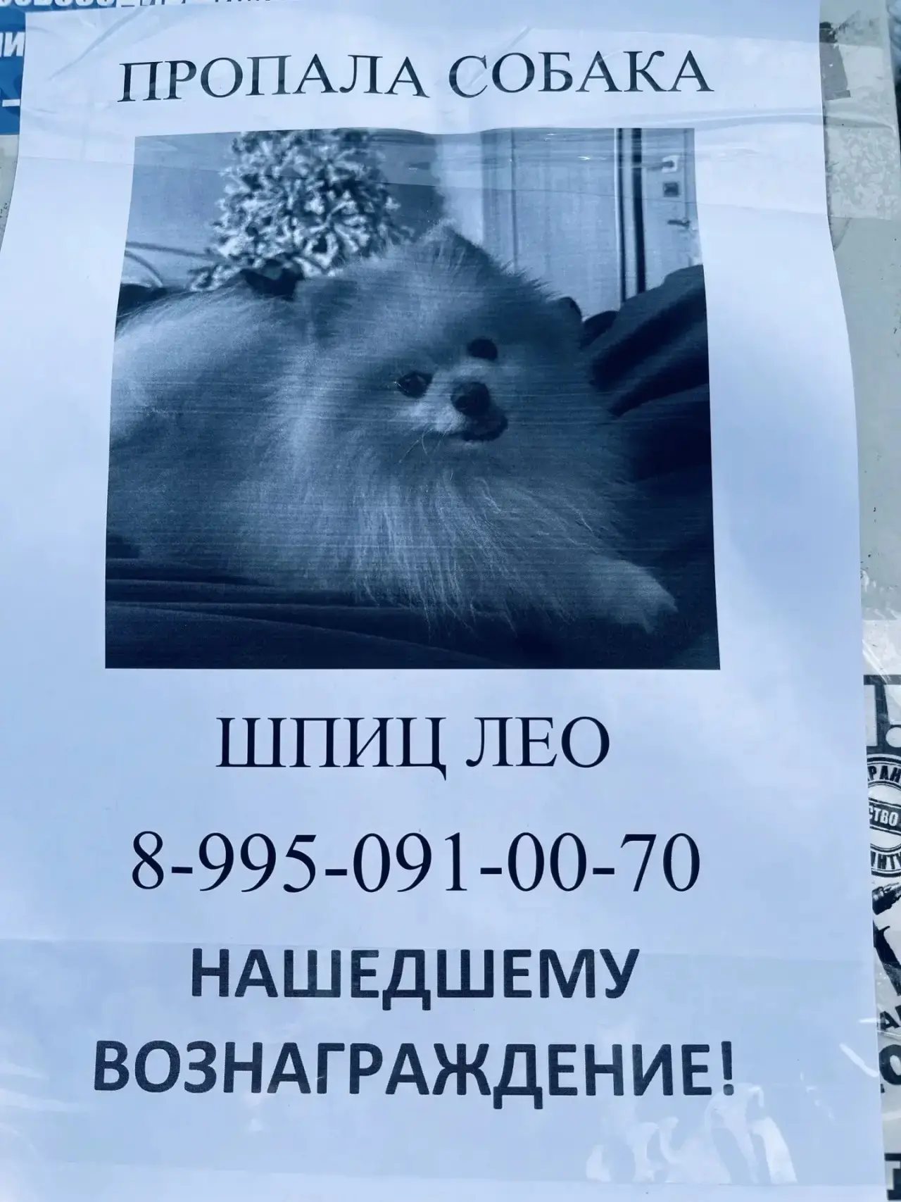 Пожалуйста, помогите найти!!!