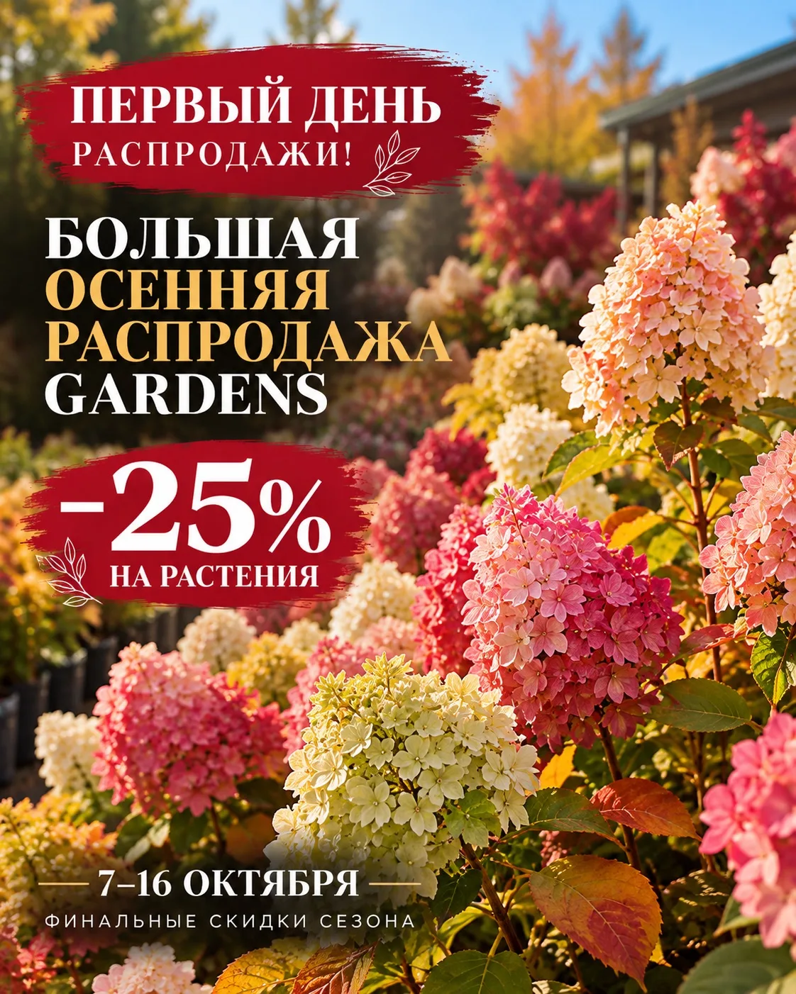 🍂 ПЕРВЫЙ ДЕНЬ РАСПРОДАЖИ!