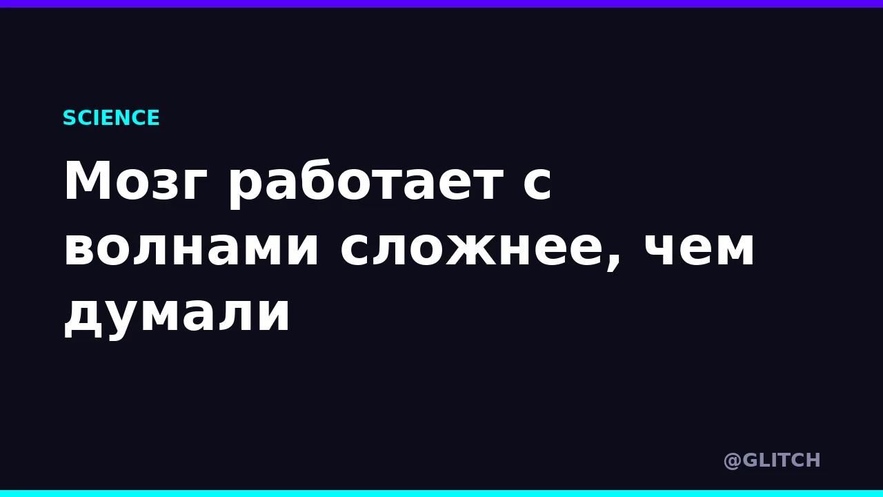 Мозг работает с волнами сложнее, чем думали