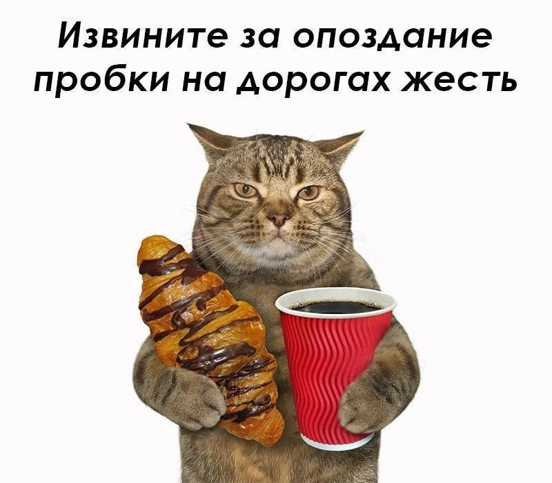 🧑‍💼 Самое правильное начало трудовой недели - хороший кофе!