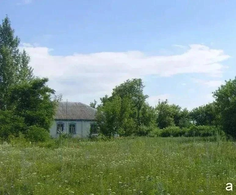 Она мне родней всех будет, хоть и чужая.