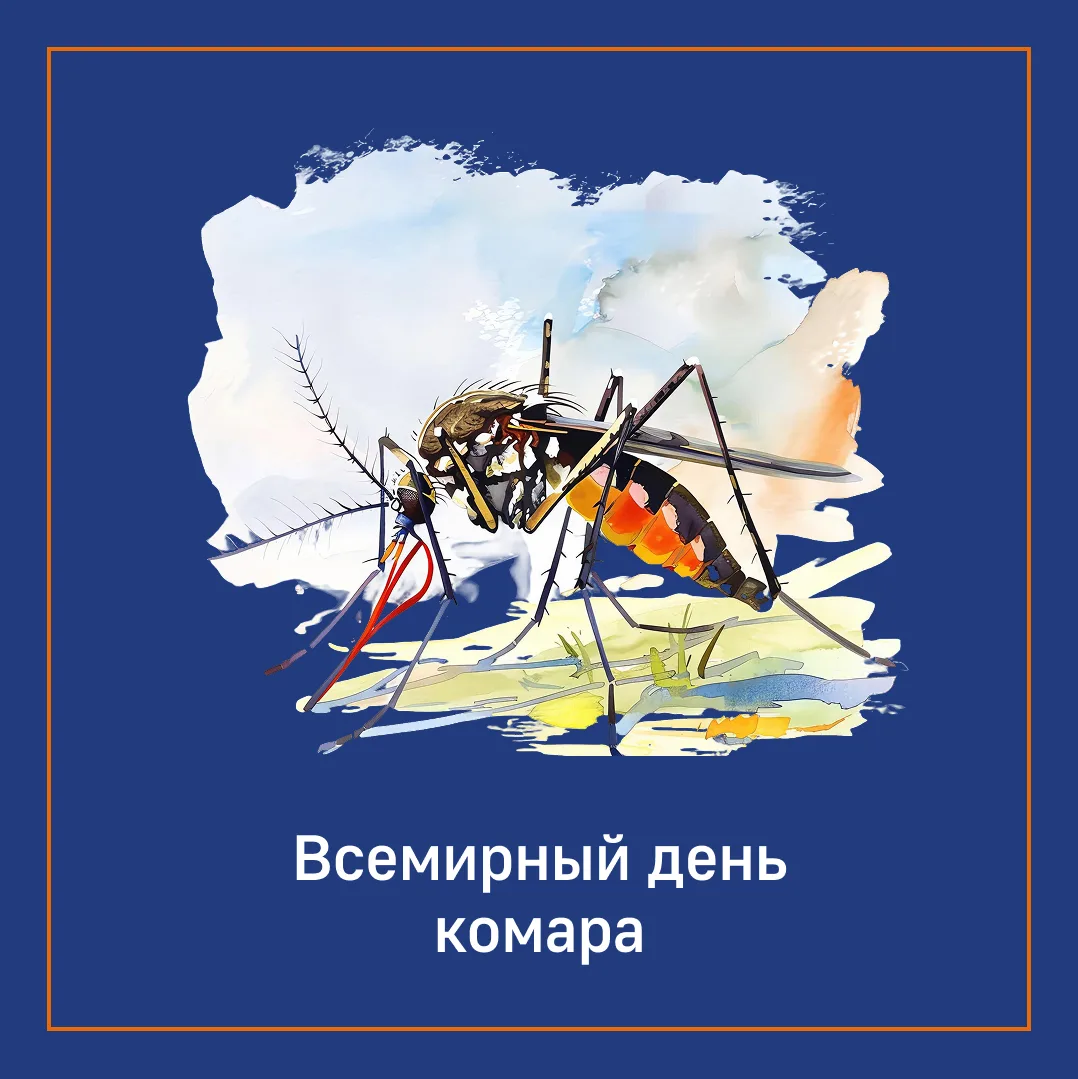 Сегодня отмечается День комара 🦟, в честь определения переносчика возбудителя малярии,...