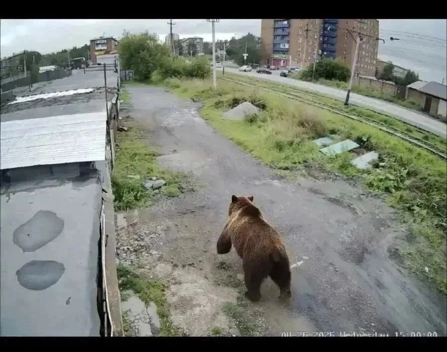 Здравствуйте.