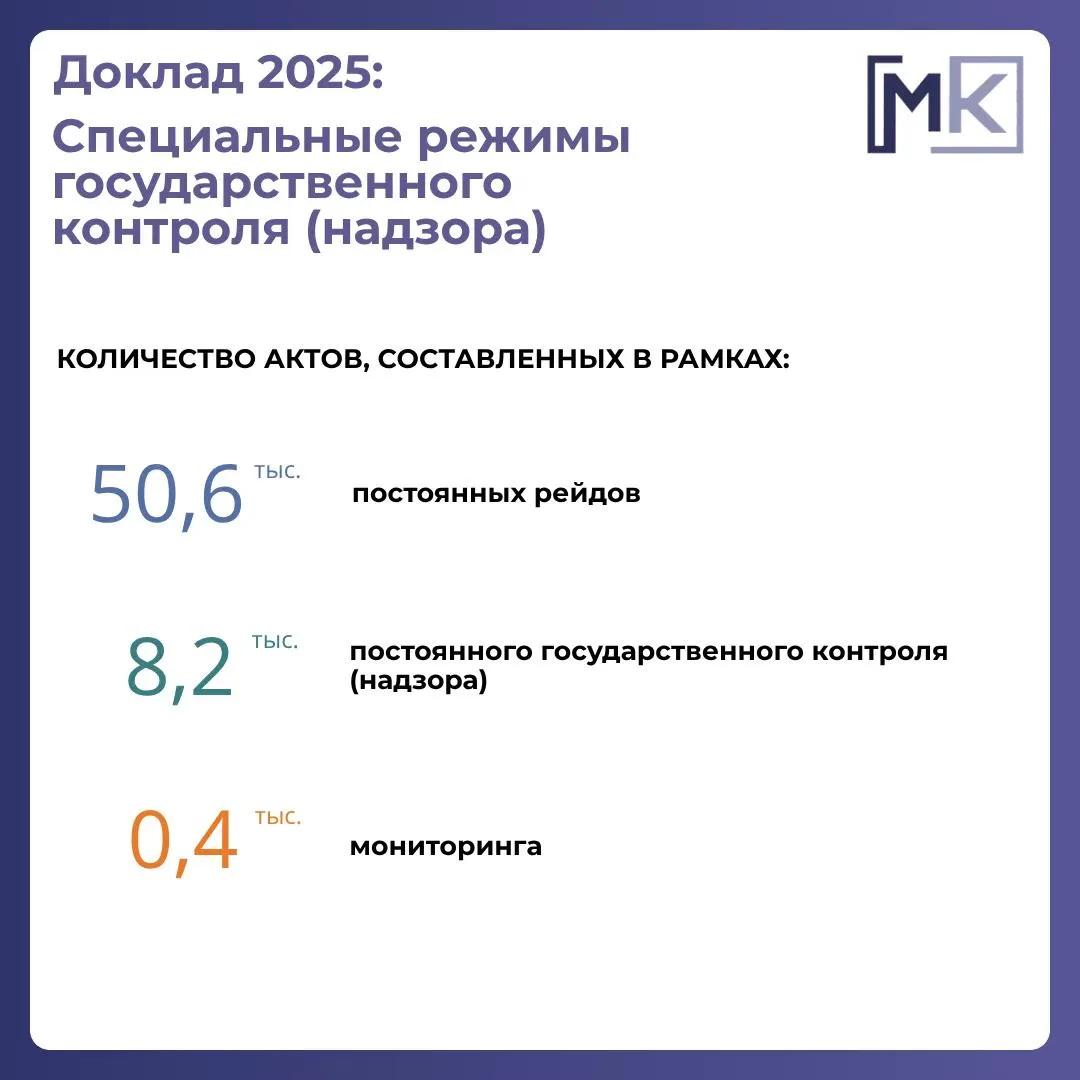 Доклад о госконтроле-2025