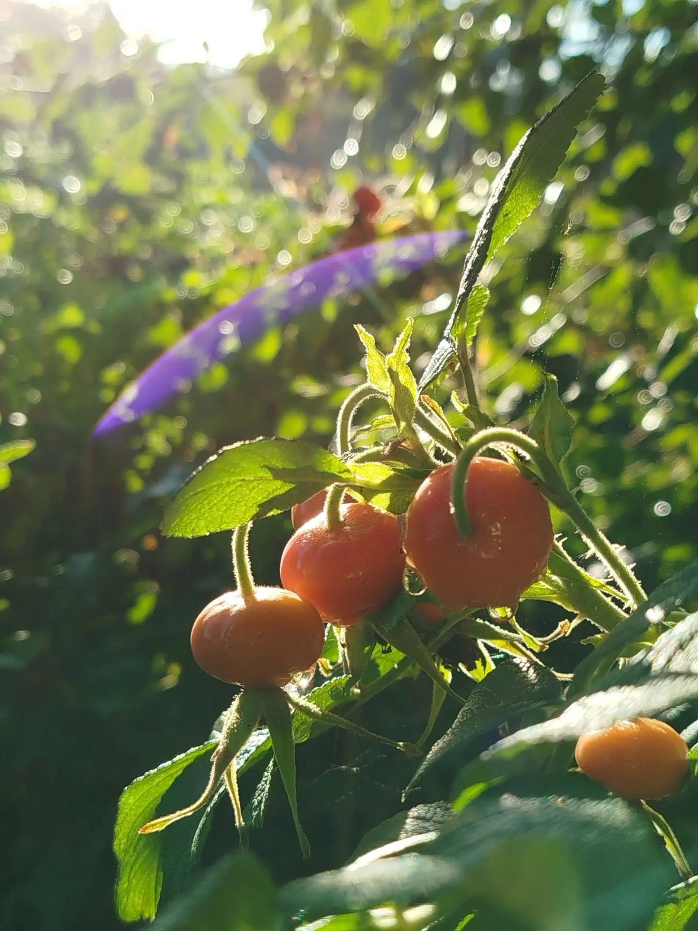 С 1 сентября вас дорогие друзья!🐝
