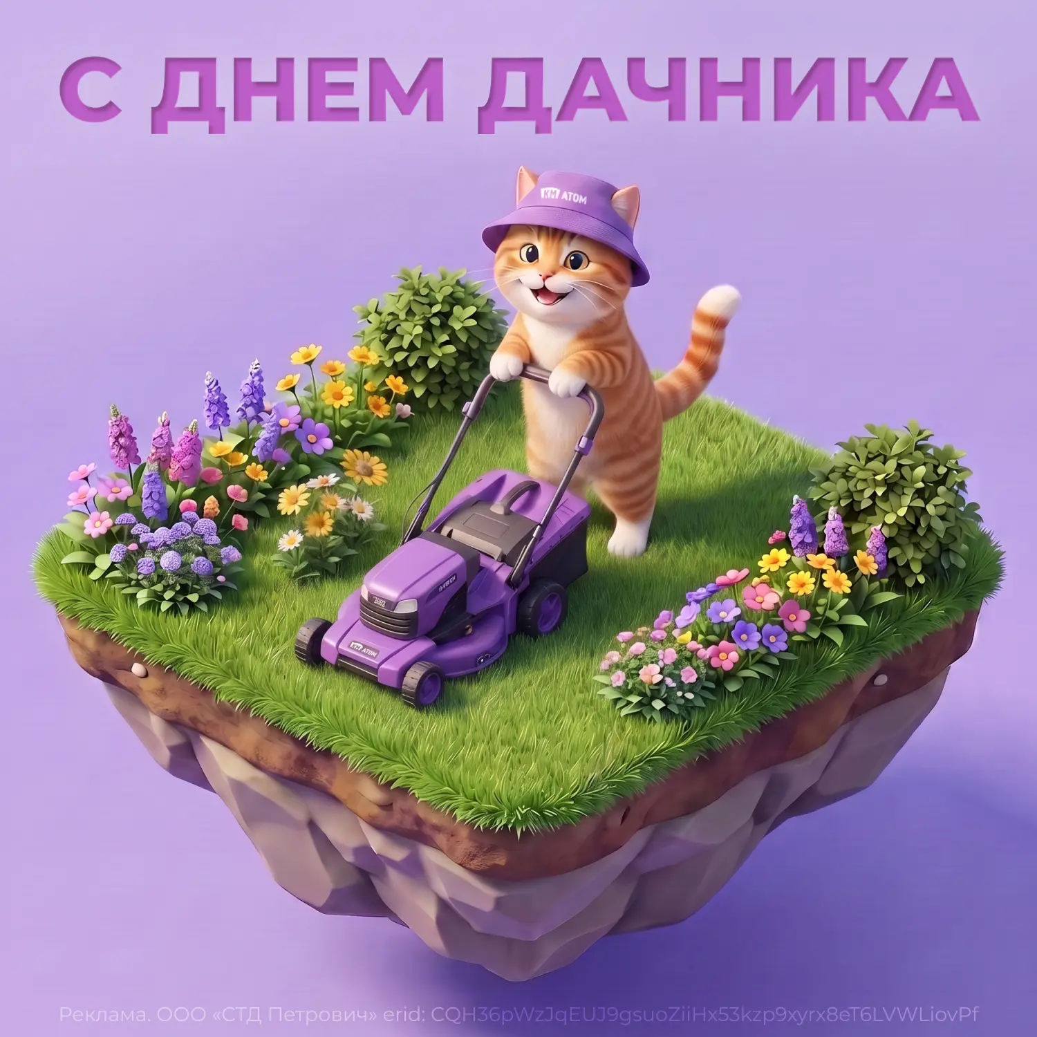 С Днем дачника! 🐱🌱