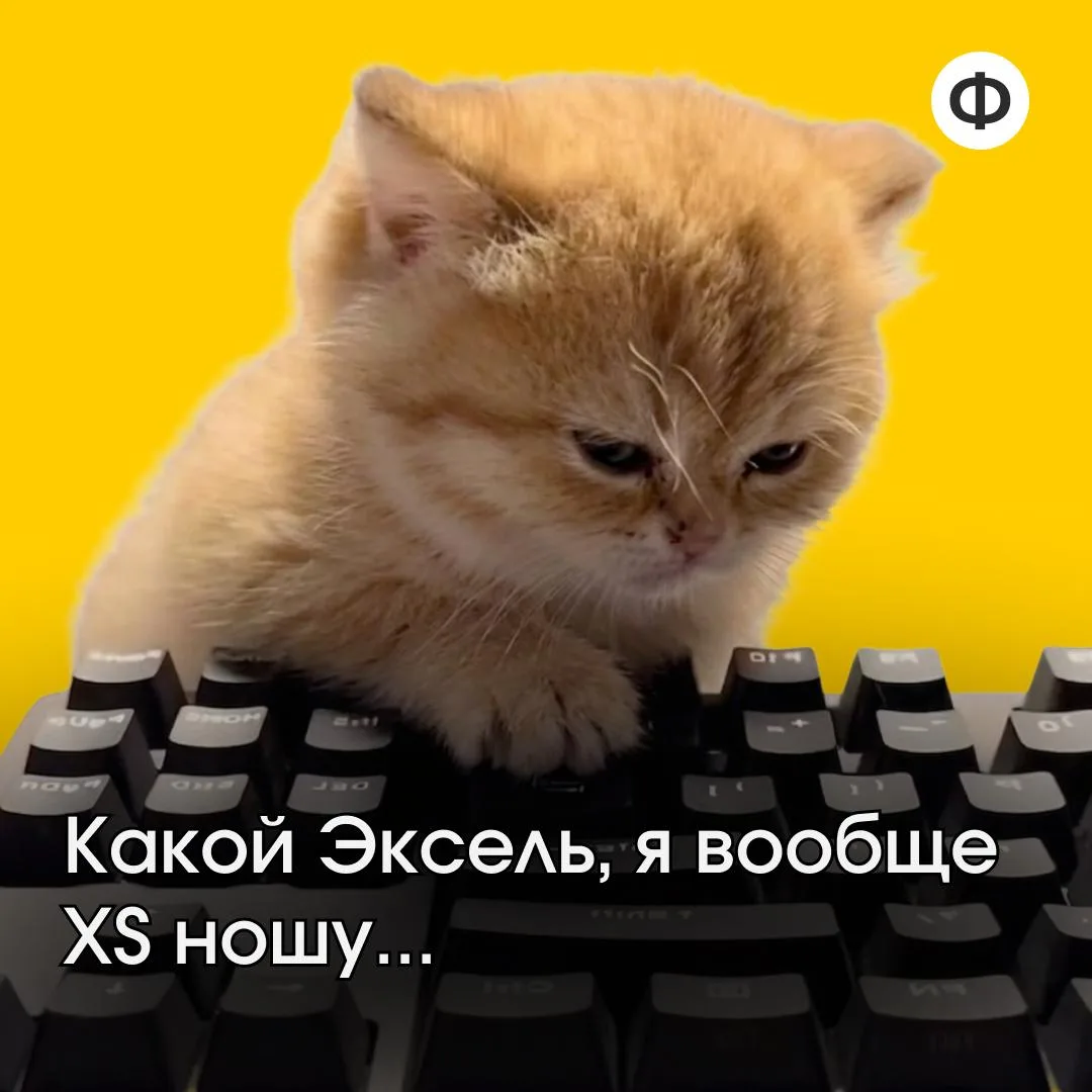 Как Excel сам собирает отчёт из пяти файлов 💻