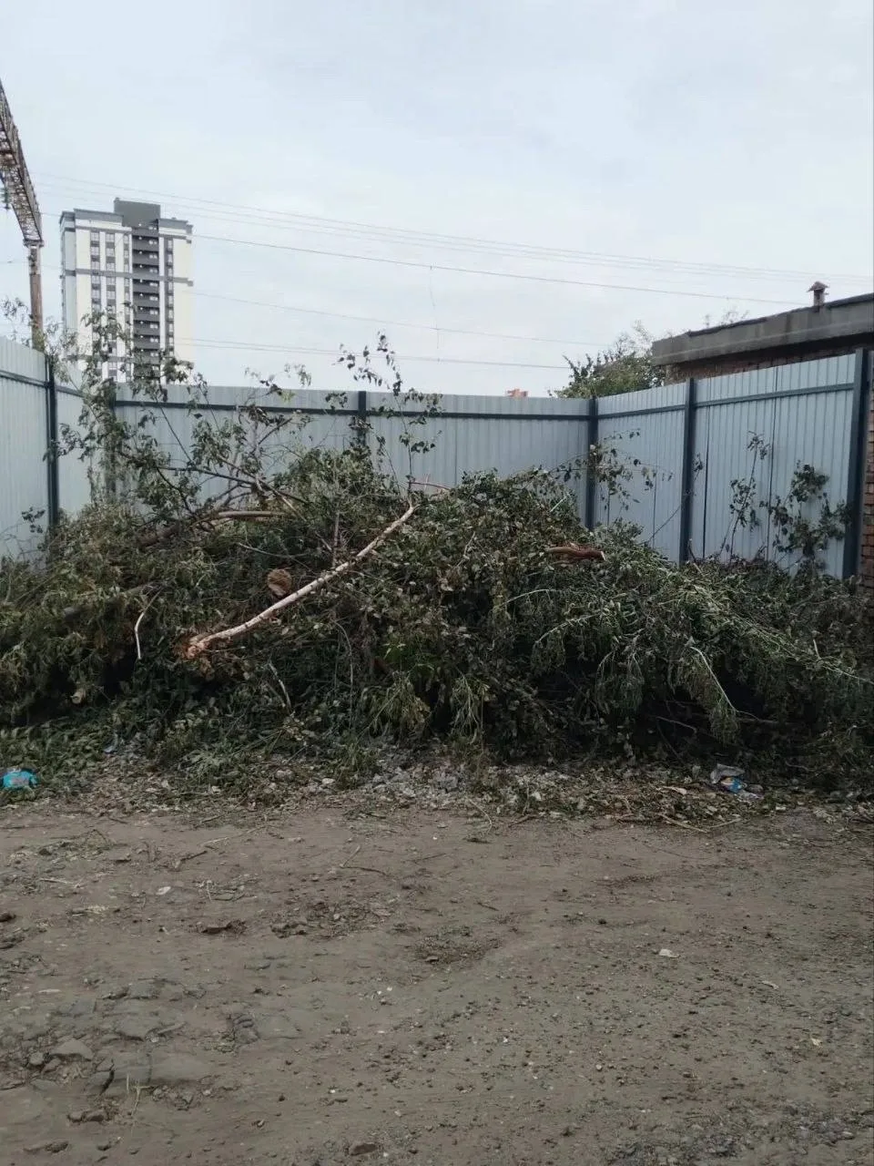 🌳 «Новую контейнерную площадку завалили ветками»: жители просят вывезти остатки после ...
